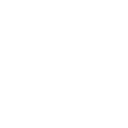 Award icon