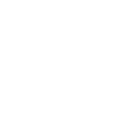 certificate icon