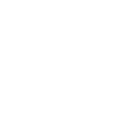 smart house icon