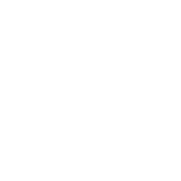 Umbrella icon